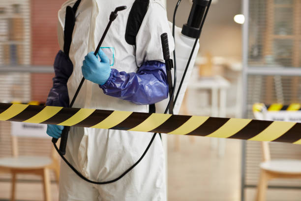 Professional Sewage Cleanup technician working in North Canton, OH